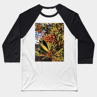 Bright Red Berries in a California Park Baseball T-Shirt